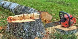 Best Leaf Removal  in Glendale, OH